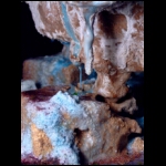 Glacial Planet detail 9x4 in.jpg